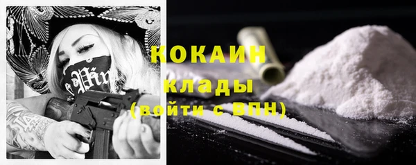 гидра Михайловск