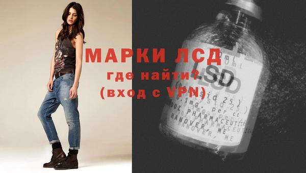 ПСИЛОЦИБИНОВЫЕ ГРИБЫ Михайлов