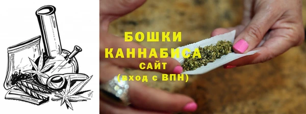 гидра Михайловск