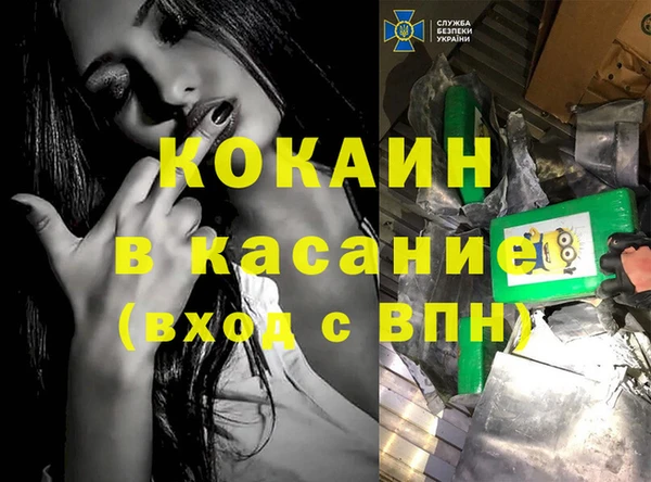 ПСИЛОЦИБИНОВЫЕ ГРИБЫ Михайлов
