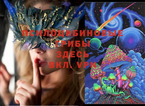 ПСИЛОЦИБИНОВЫЕ ГРИБЫ Михайлов