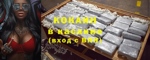 ПСИЛОЦИБИНОВЫЕ ГРИБЫ Михайлов