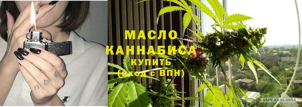 ПСИЛОЦИБИНОВЫЕ ГРИБЫ Михайлов