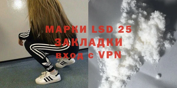 гидра Михайловск