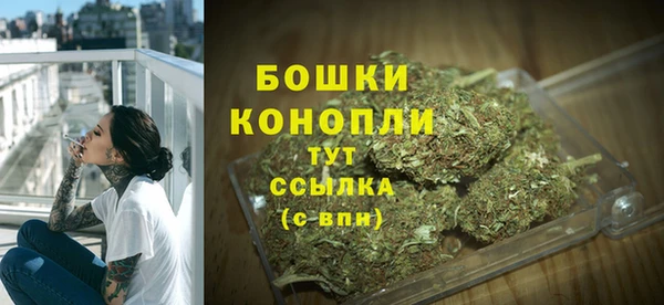 ПСИЛОЦИБИНОВЫЕ ГРИБЫ Михайлов