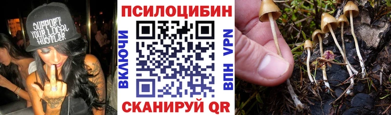 Псилоцибиновые грибы Psilocybe  где купить наркоту  Златоуст 
